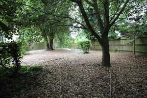 Photo 15- click for photo gallery